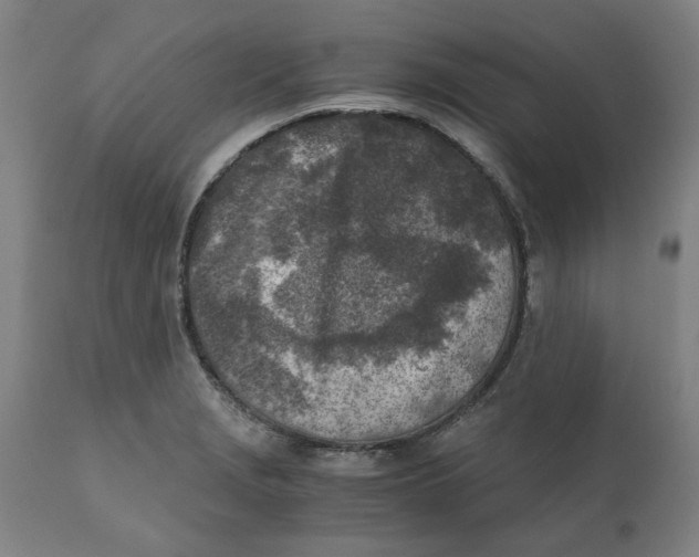 X0000111151229200907211155