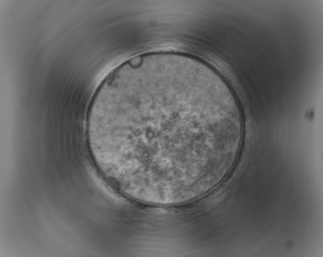 X0000111151234200907211155