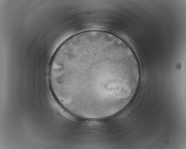 X0000111151235200907211155