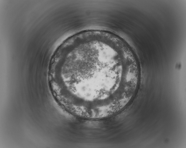 X0000111151237200907211155
