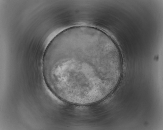 X0000111151239200907211155