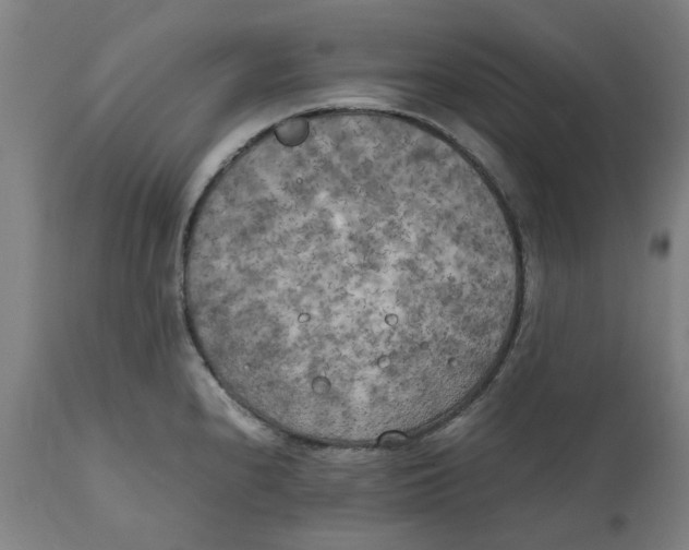 X0000111151240200907211155