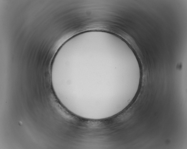 X0000111151242200907211155