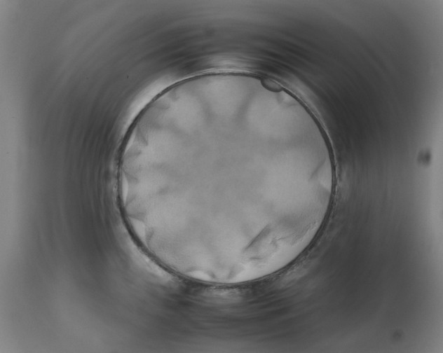 X0000111151243200907211155