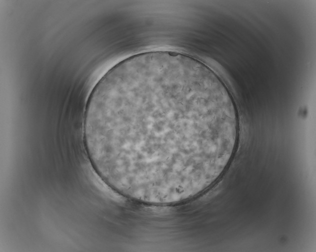 X0000111151244200907211155