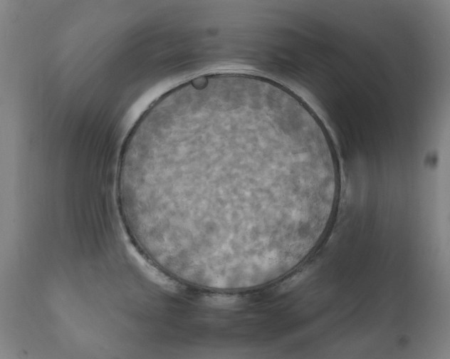 X0000111151245200907211155