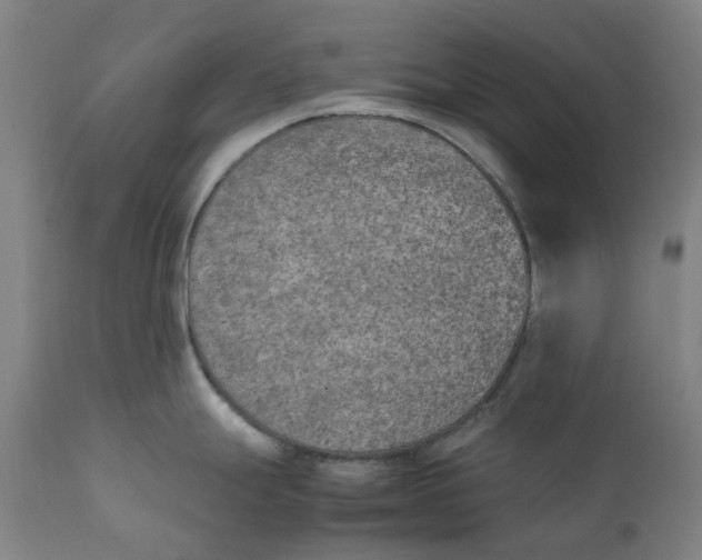 X0000111151247200907211155