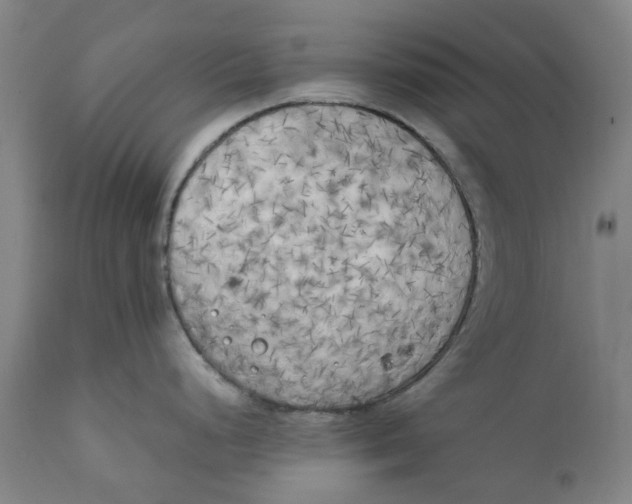 X0000111151248200907211155