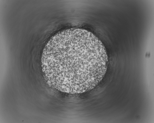 X0000111151249200907211155