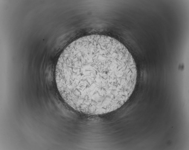 X0000111151250200907211155