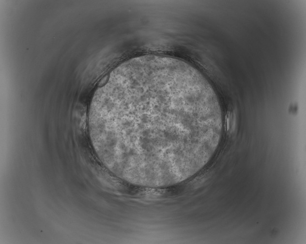 X0000111151251200907211155