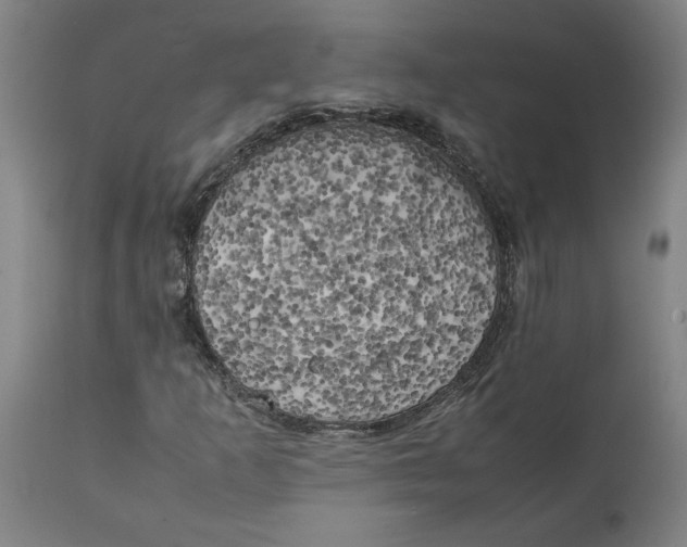 X0000111151253200907211155