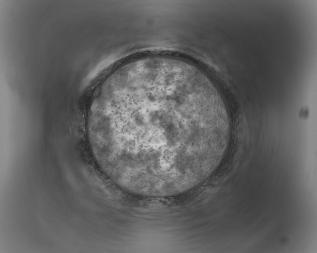 X0000111151255200907211155