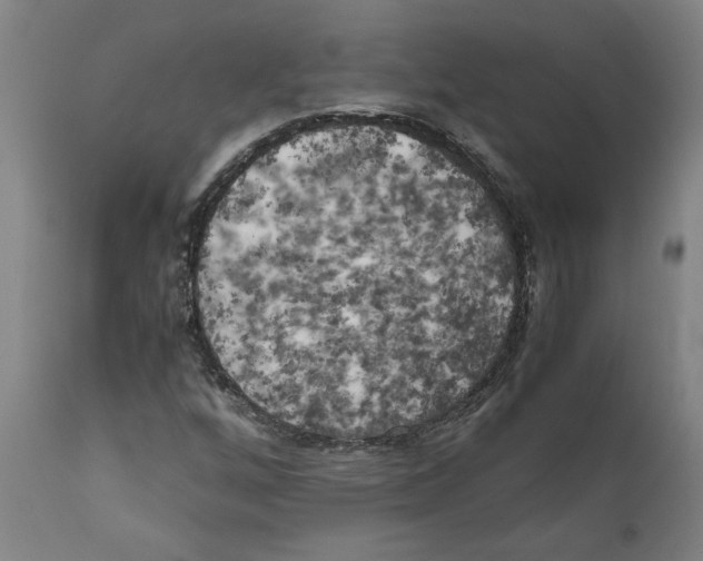 X0000111151256200907211155