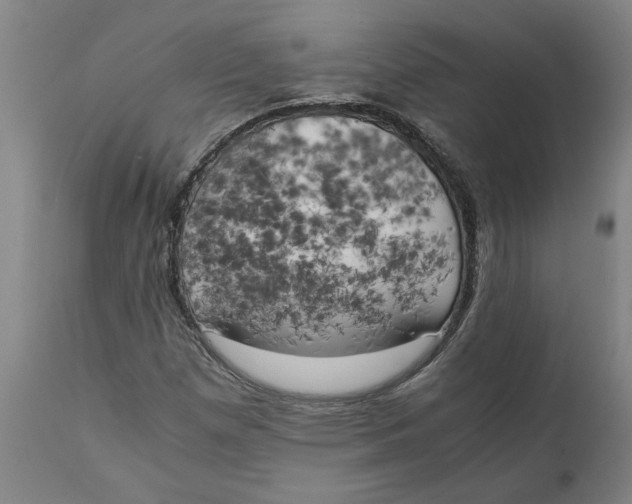 X0000111151257200907211155