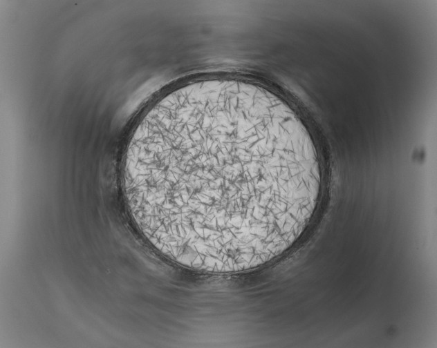 X0000111151259200907211155
