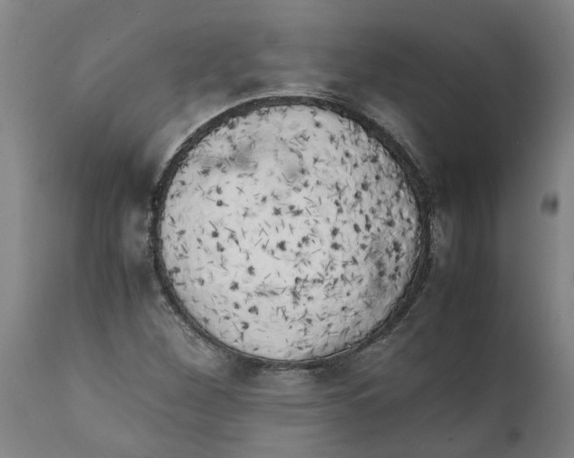 X0000111151260200907211155