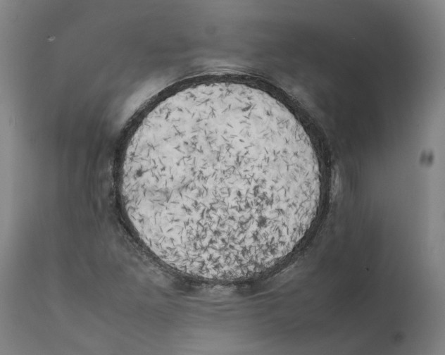 X0000111151261200907211155