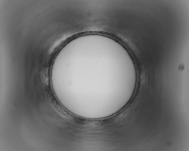 X0000111151262200907211155