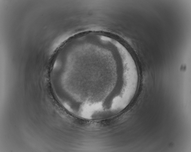 X0000111151263200907211155