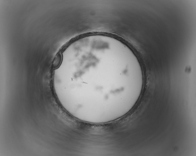 X0000111151264200907211155
