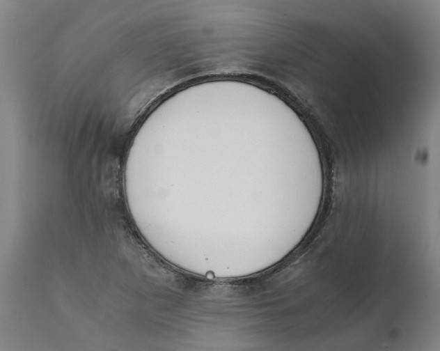 X0000111151265200907211155
