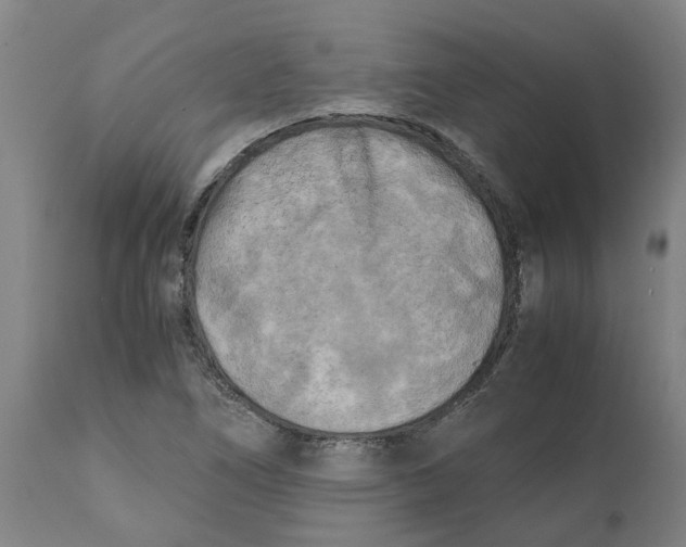 X0000111151266200907211155