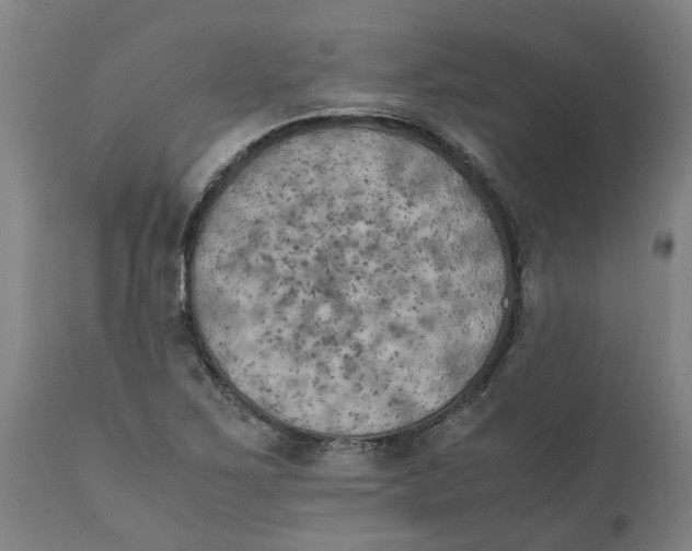 X0000111151267200907211154