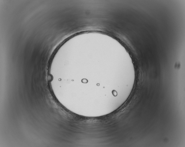 X0000111151268200907211154