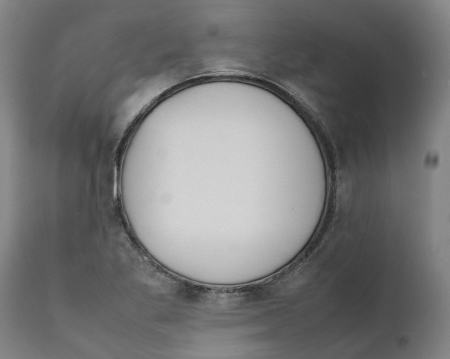X0000111151269200907211154