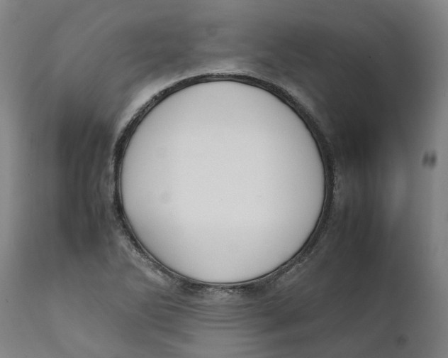X0000111151270200907211154