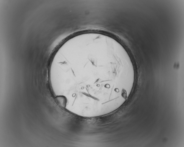 X0000111151271200907211154