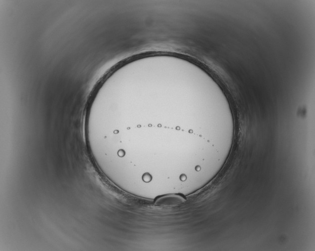 X0000111151272200907211154