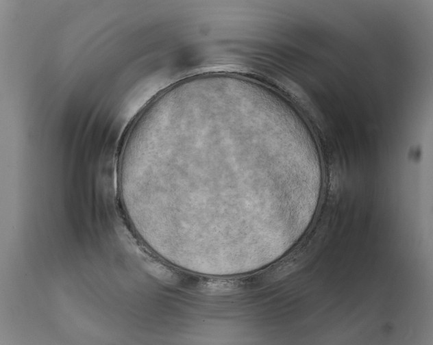 X0000111151274200907211154
