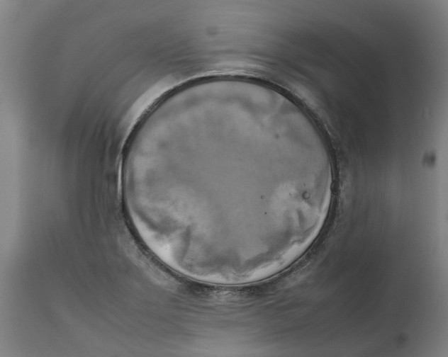 X0000111151275200907211154