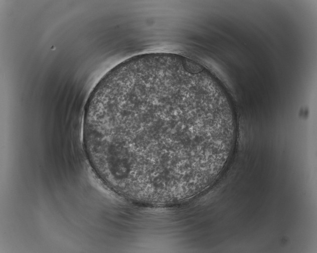 X0000111151276200907211154