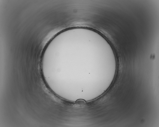 X0000111151277200907211154