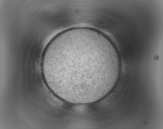 X0000111151278200907211154