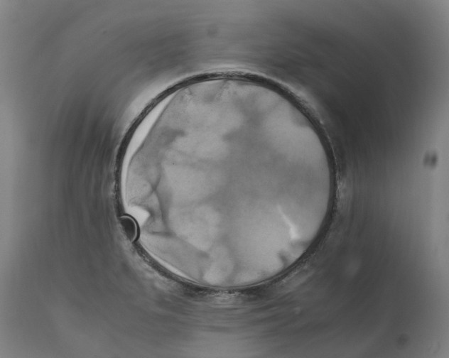 X0000111151279200907211154