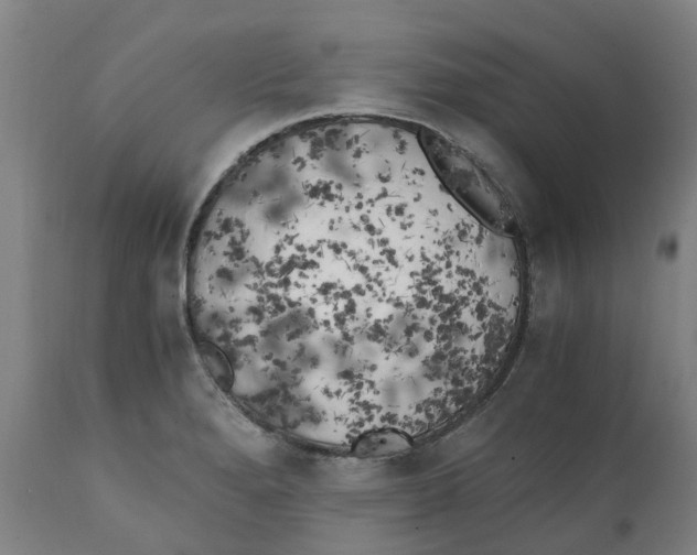 X0000111151280200907211154