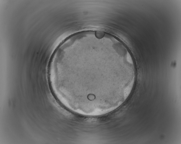 X0000111151283200907211154