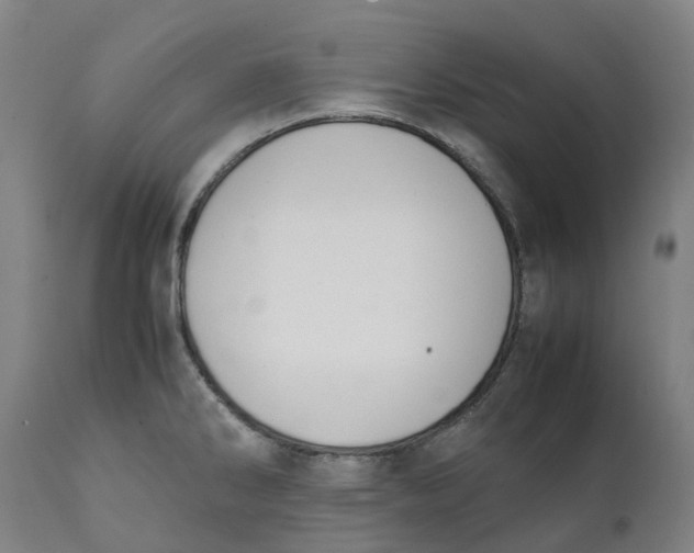X0000111151286200907211154