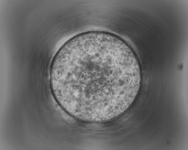 X0000111151287200907211154