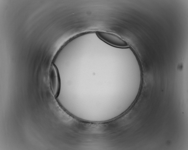 X0000111151288200907211154