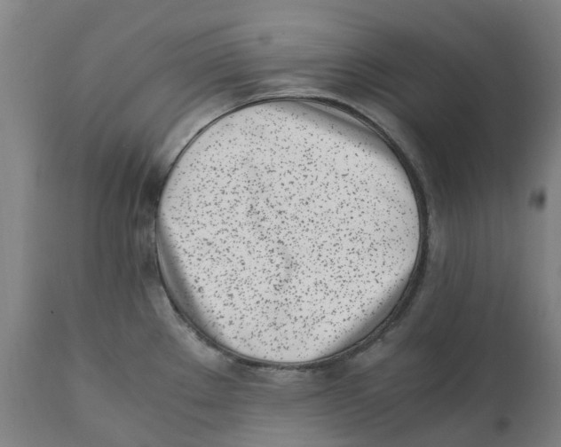 X0000111151289200907211154