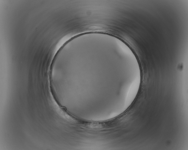 X0000111151291200907211154