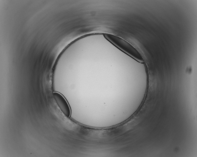 X0000111151292200907211154