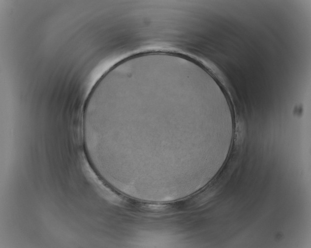 X0000111151295200907211154