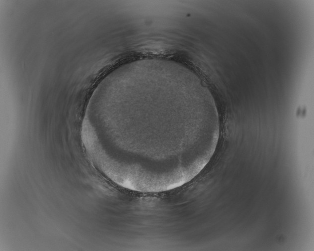 X0000111151297200907211153
