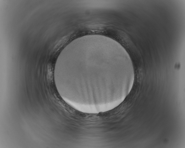X0000111151298200907211153